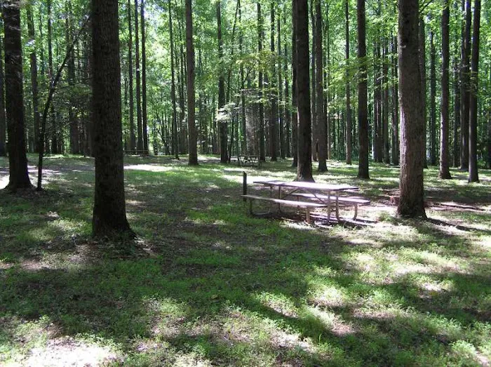 Lake Glory Campground Picture 6