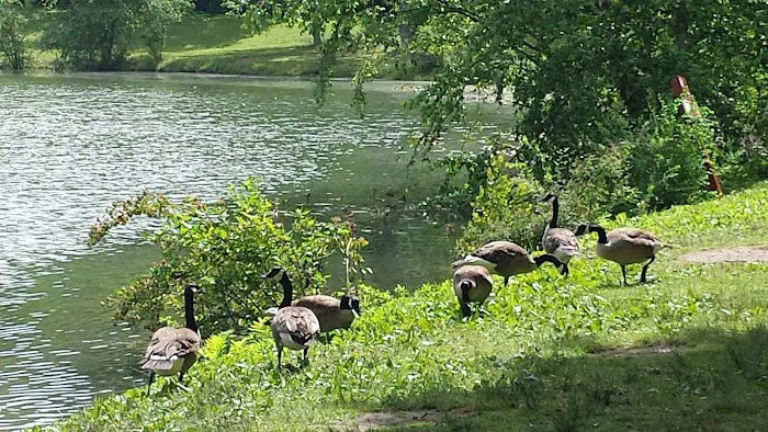Lake Glory Campground Picture 7