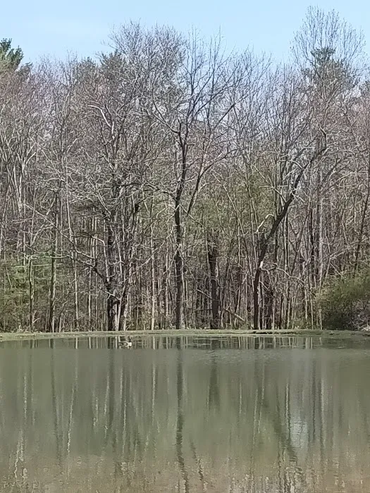 Whispering Pines Camping Estates Picture 8