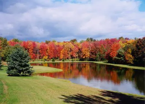 Whispering Pines Camping Estates Picture 10