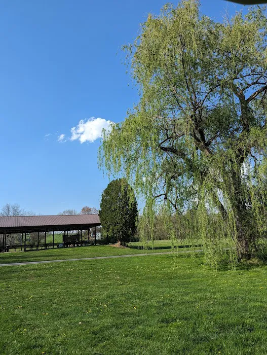 Wanna Ruf It Campground Picture 2