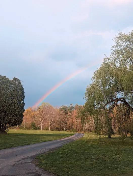 Wanna Ruf It Campground Picture 3