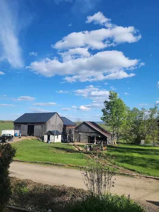 Wanderlust-Waypoint DIY Nomad, Skoolie, van lifers build site Picture 2