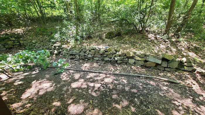 Navesink Campsite HMSR 2024 Picture 6