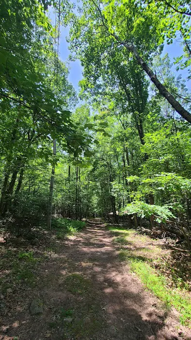 Navesink Campsite HMSR 2024 Picture 7