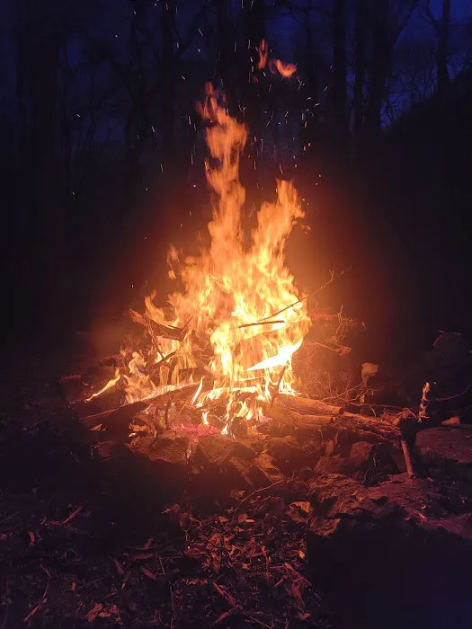 Hertlein Campsite Picture 6