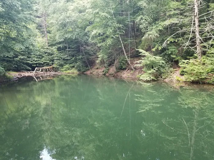 Hertlein Campsite Picture 5