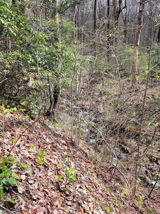 Hertlein Campsite Picture 8