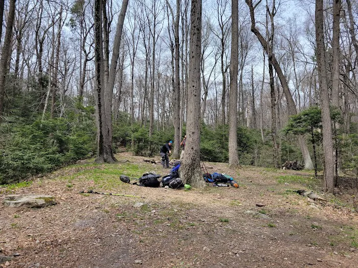 Hertlein Campsite Picture 10