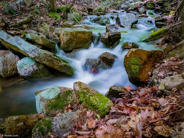 Hertlein Campsite Picture 4