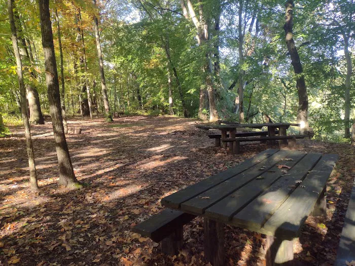 Fred J Doberstein Overlook Campground Picture 2