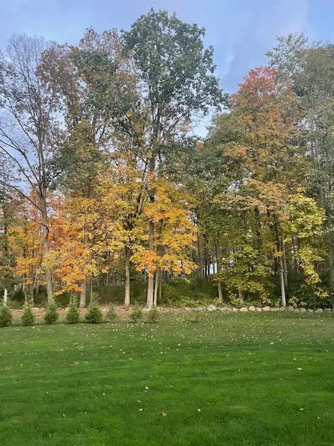 Sill's Family Campgrounds Picture 6