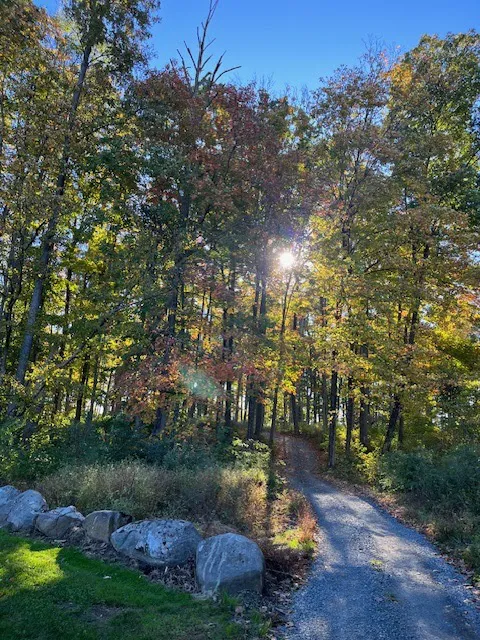 Sill's Family Campgrounds Picture 10