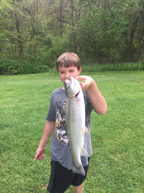 Adventure Bound Camping Resorts - Eagles Peak Picture 9