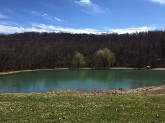 Adventure Bound Camping Resorts - Eagles Peak Picture 7