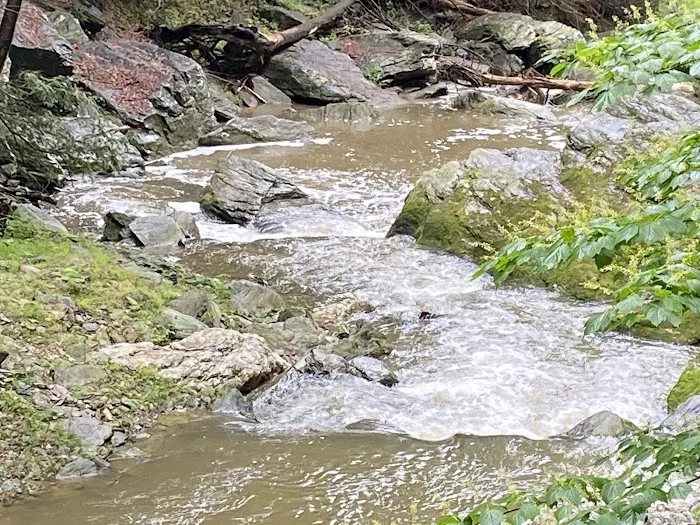 Otter Creek Campground Picture 7