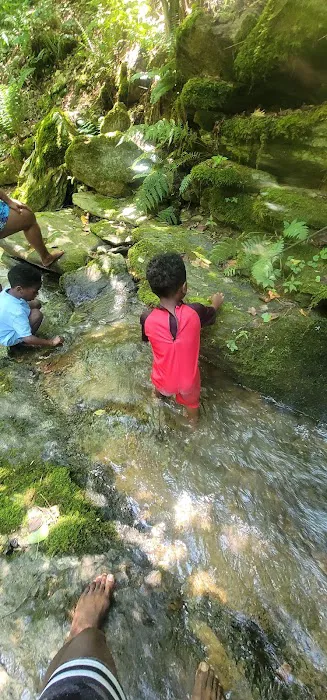 Mill Creek Falls Retreat Center Picture 2