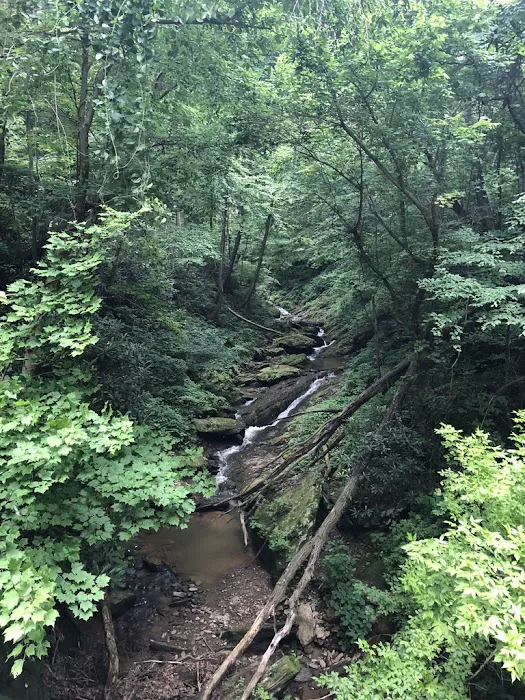 Mill Creek Falls Retreat Center Picture 7