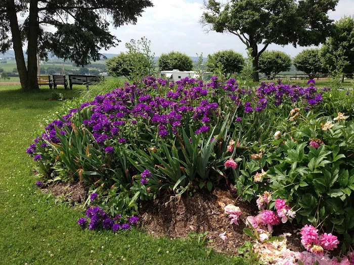 Lancaster / New Holland KOA Journey Picture 8