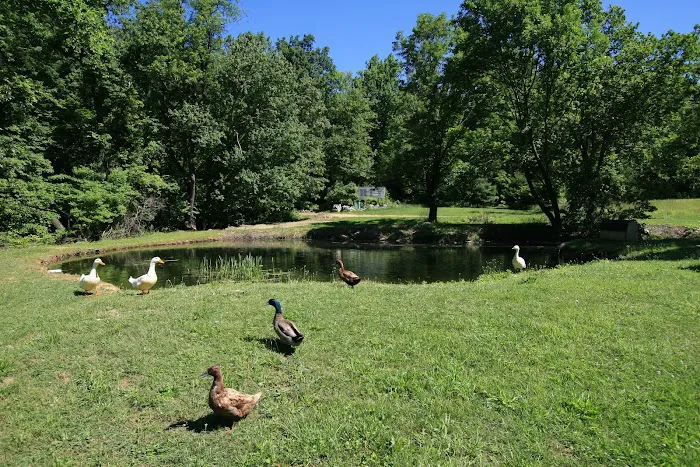 Hidden Acres Campground Picture 5