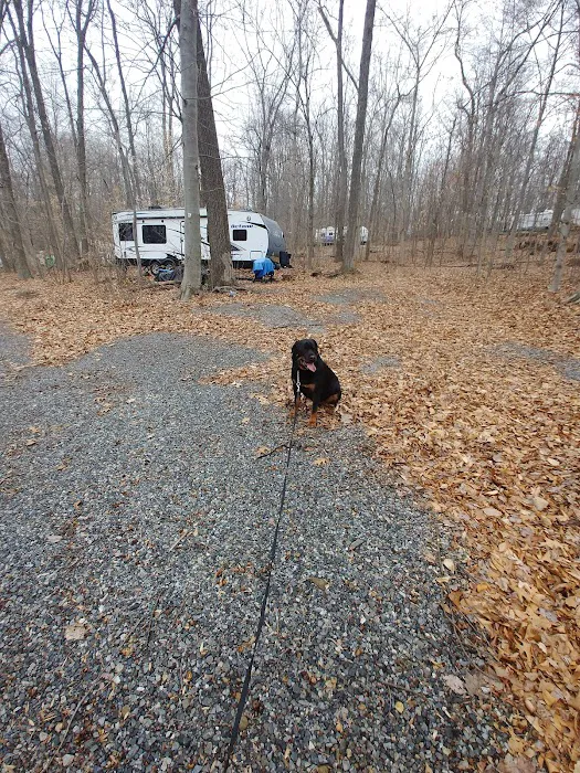 Birchview Farm Campgrounds Picture 9