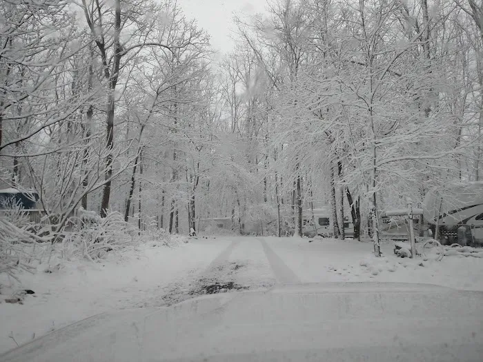 Birchview Farm Campgrounds Picture 6