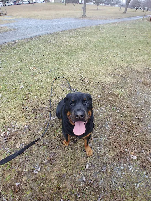 Birchview Farm Campgrounds Picture 8