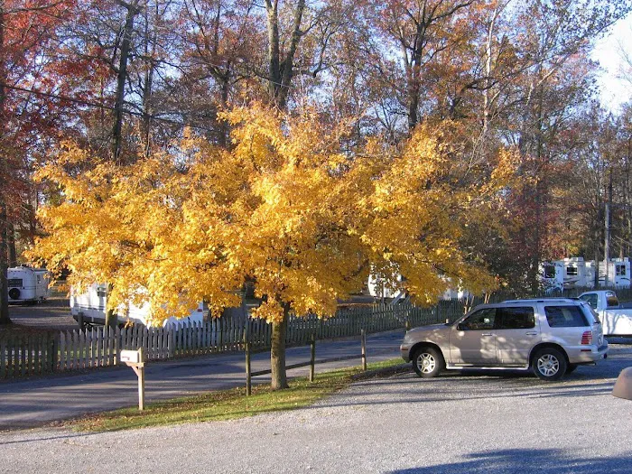 Red Run Resort & Campground Picture 8