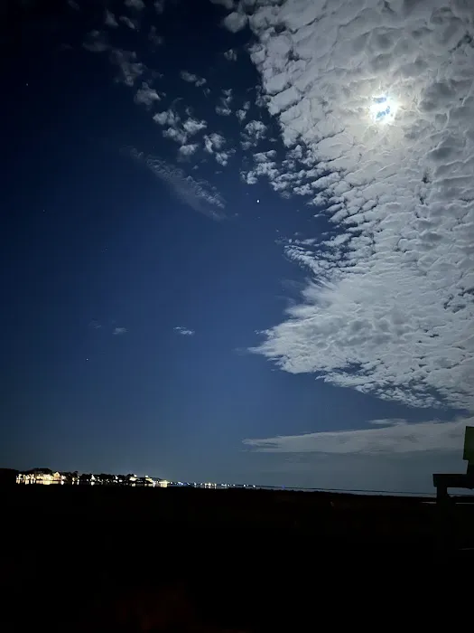 Port Delmarva Picture 5