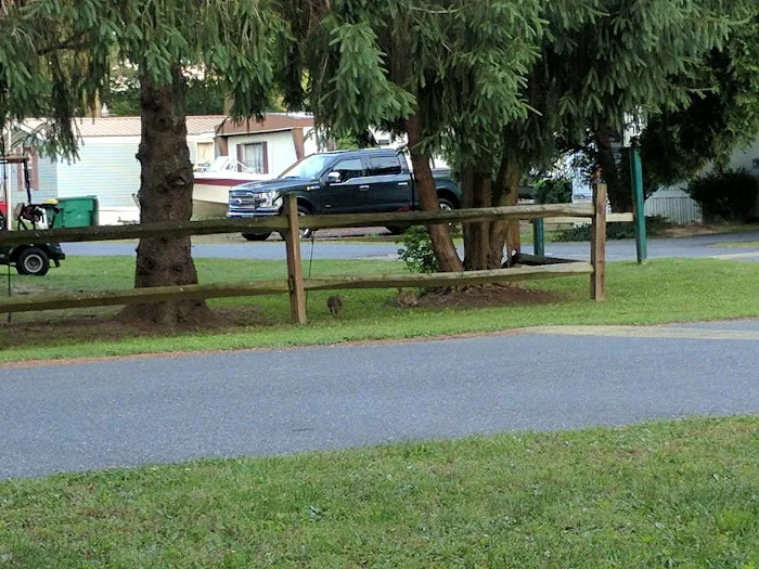 Tall Pines Campground Resort Picture 2