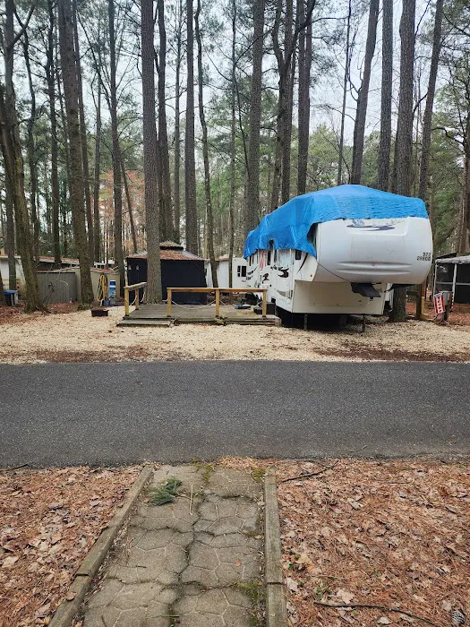 Tall Pines Campground Resort Picture 1