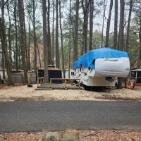 Tall Pines Campground Resort ico