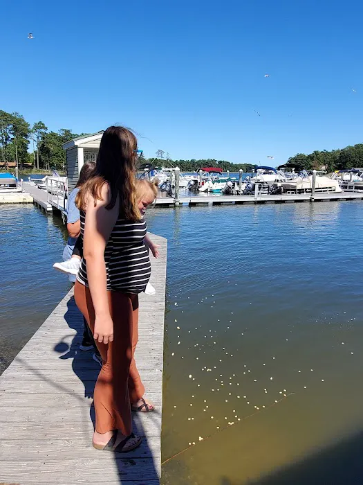 Shawn's Hideaway Picture 1