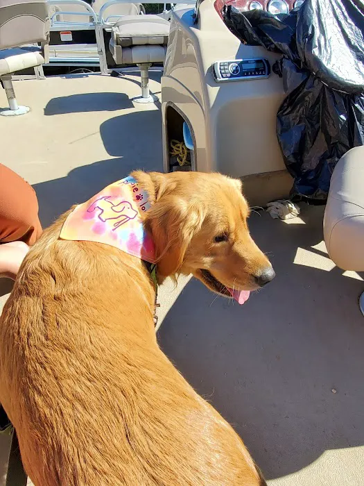 Shawn's Hideaway Picture 5