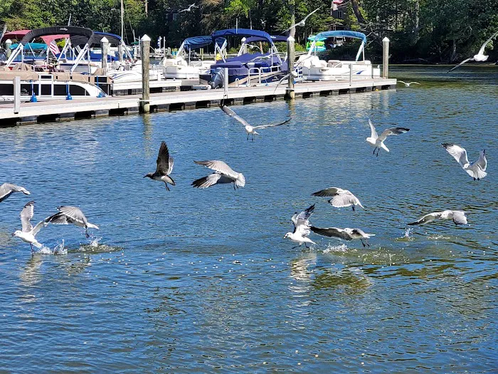 Shawn's Hideaway Picture 6