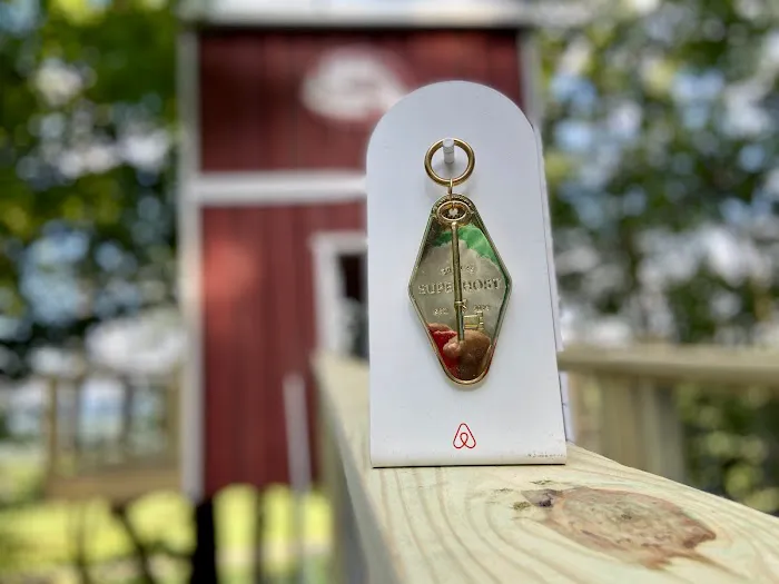 Treehouse at Bear Back Brooke on Mehoopany Mountain Picture 8