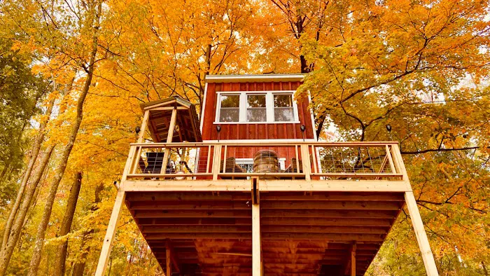 Treehouse at Bear Back Brooke on Mehoopany Mountain Picture 7