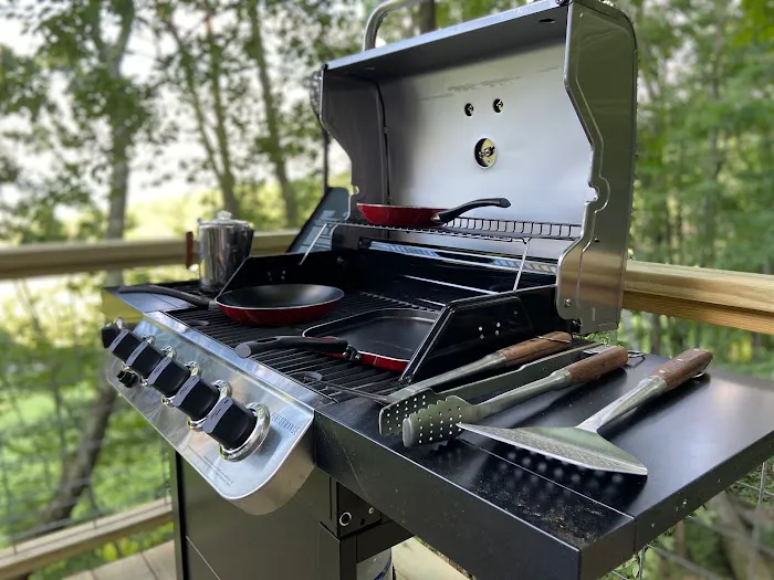 Treehouse at Bear Back Brooke on Mehoopany Mountain Picture 10