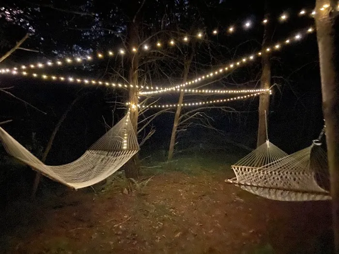 Yurt at Bear Back Brooke Picture 5