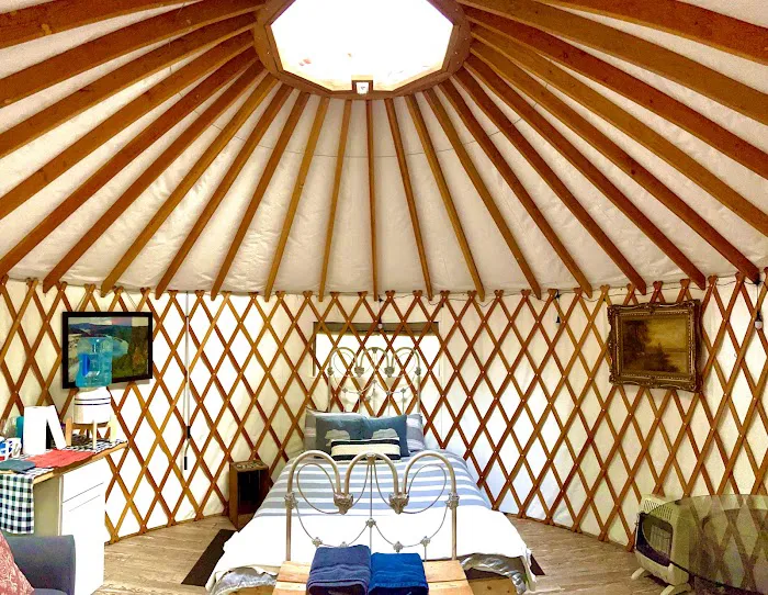 Yurt at Bear Back Brooke Picture 6