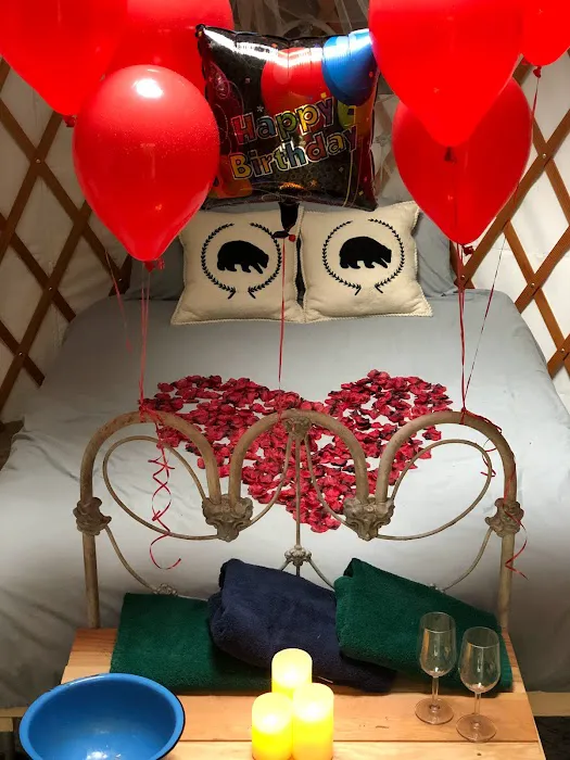 Yurt at Bear Back Brooke Picture 9