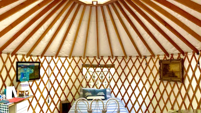 Yurt at Bear Back Brooke Picture 7
