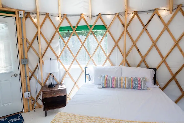 Binghamton Jellystone Park™ Picture 9