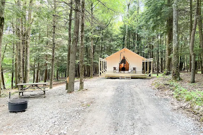 Binghamton Jellystone Park™ Picture 10