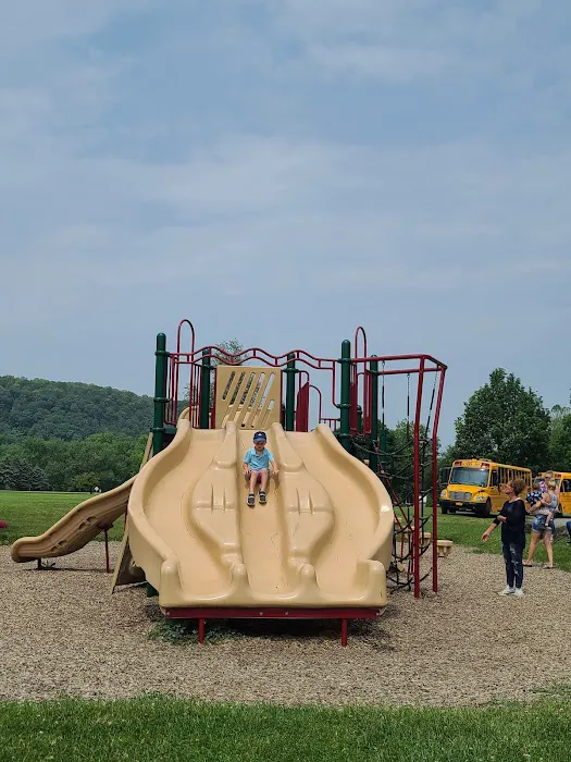 Hickories Park Camping and BBQ Area Picture 3