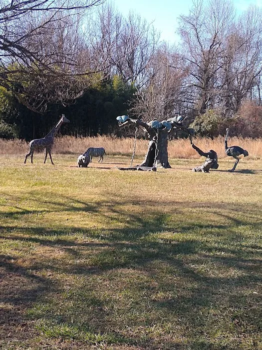 Camp Kit Adin Outfitters Picture 8