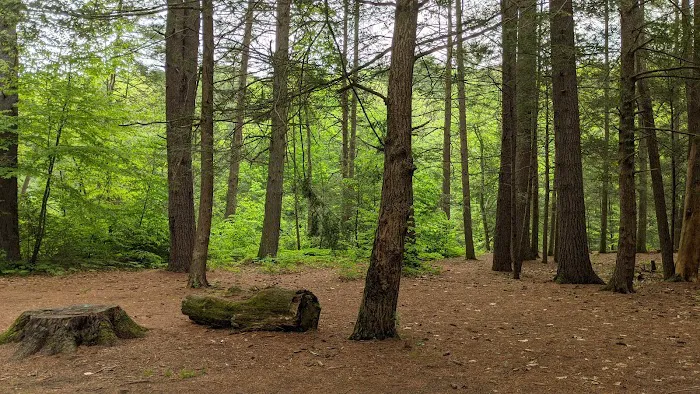 Austin Hawes Campground Picture 5