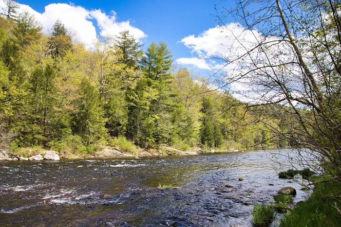 Austin Hawes Campground Picture 2