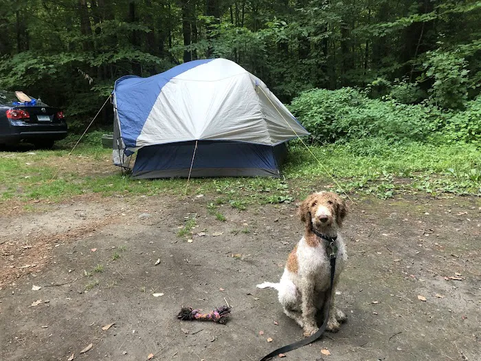 Austin Hawes Campground Picture 3