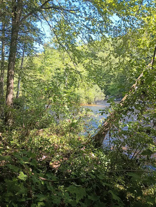 Austin Hawes Campground Picture 7